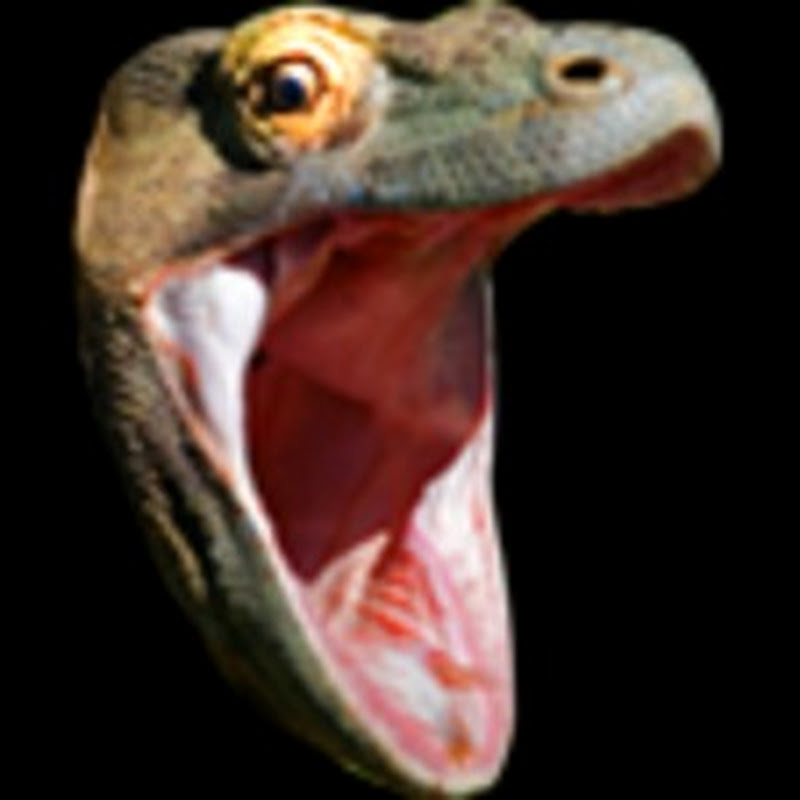 E C0RE icon