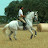 Top Andalusian Horses SL