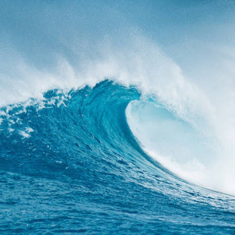Ride Your Money Wave