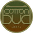 ZO3W4fe36jo-channel-avatar-Cotton Bud