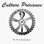 Professeur Culture Précieuse