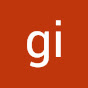 gi ir