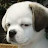 @user-tr3go8kp7d