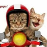 Автор