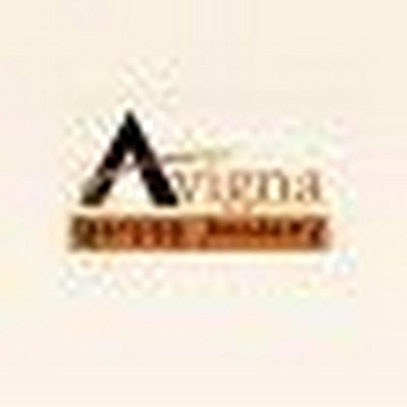 AvignaAcademy