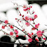 jtP3Tb2_W7k-channel-avatar-Luo Mei