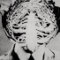 e8g6TIVNRto-channel-avatar-wada zamodon