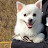 @user-mp4vu5gd5f