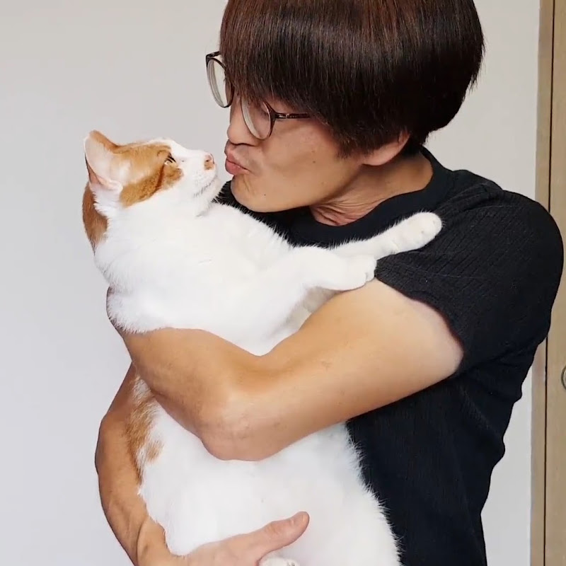 앤투현달 TV Logo