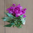 @user-pd7li1kz3c