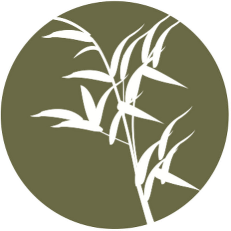 Shuhari Institute