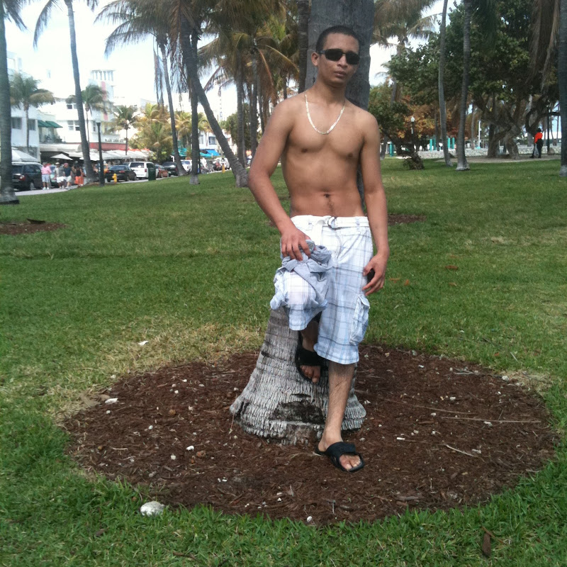 GEDBIN LCastillo