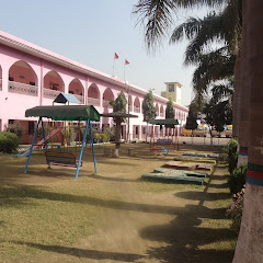 M.S.Public School Nissing