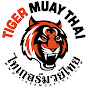 Tiger Muay Thai and MMA Training Camp, Phuket, Thailand Image Thumbnail