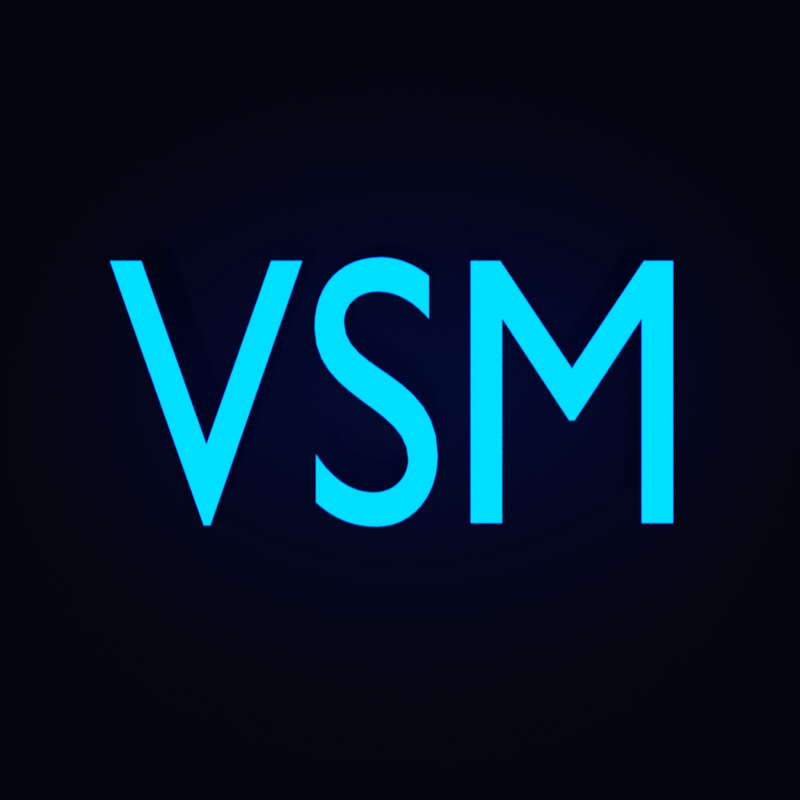 VSM