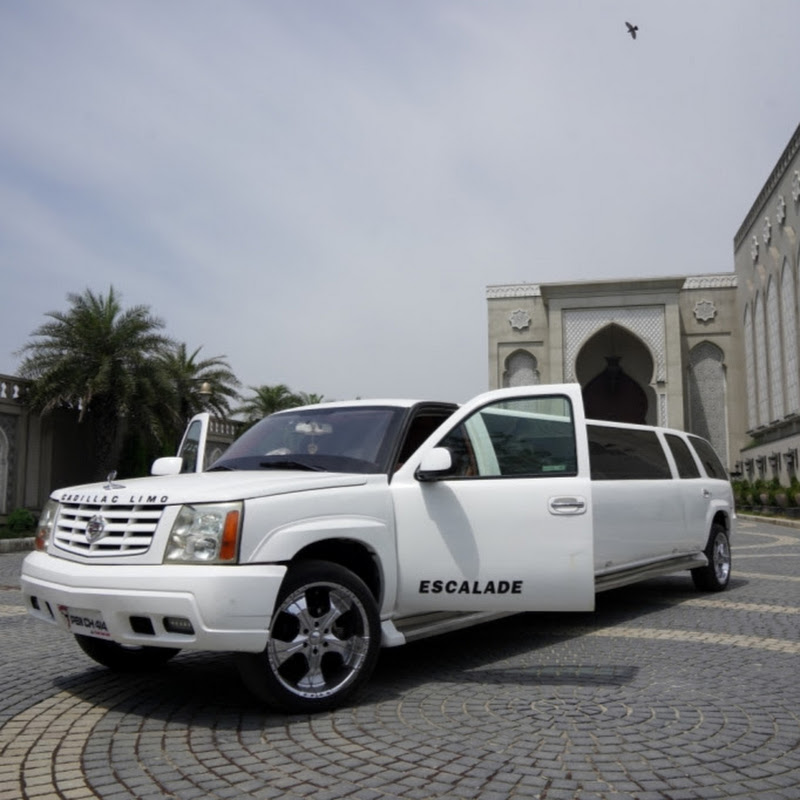 Luxury Limo Land