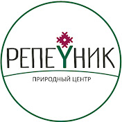 Репейник