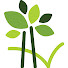 07BrZpYRxYA-channel-avatar-Huttons Valley Permaculture