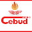 CEBUD PIECOKOMINKI