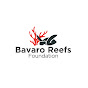 The Ecological Bavaro Reefs Foundation logo