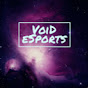 VoiD eSports logo