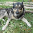 51HbhF_DS1U-channel-avatar-Сам себе хозяин.