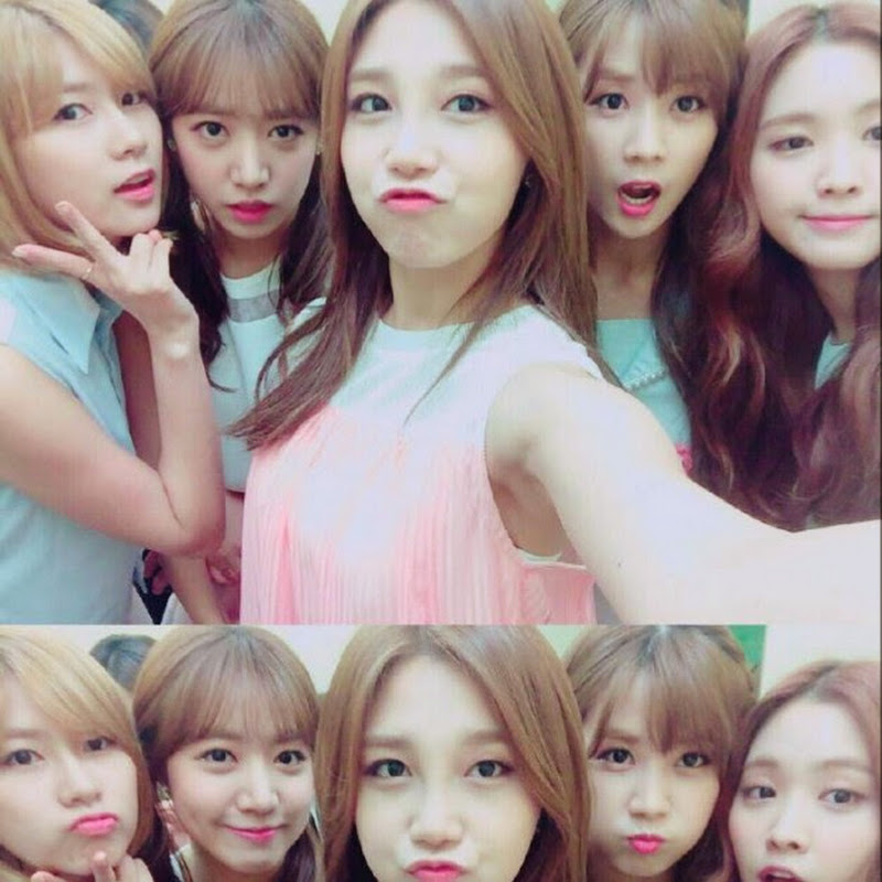 Apink parkchorong