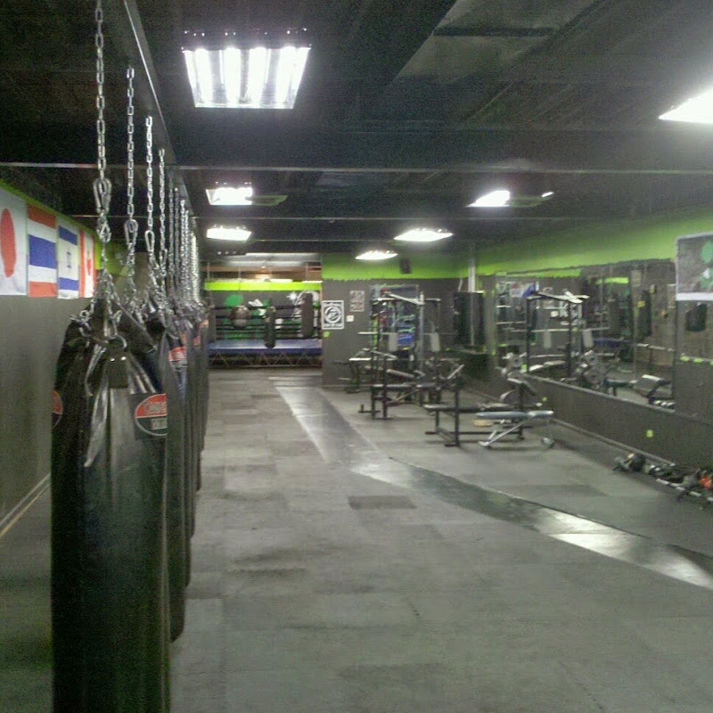 Bone Breaker Gym