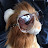 youtube avatar