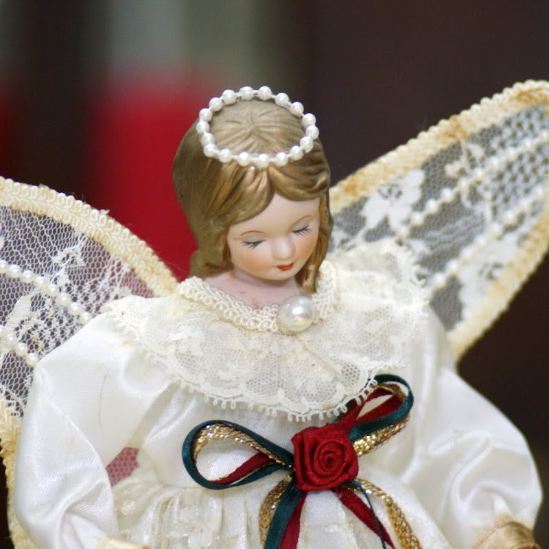 癌症新觀點 Logo