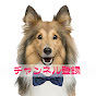 J国チャンネル
