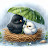 @kusumfernandes4057