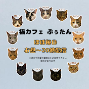 猫カフェぶぅたんCats cafe Bootan