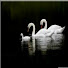 UUDC4x-DZaE-channel-avatar-Swanfamilyvideo