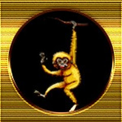 Golden Monkey Channel Avatar