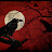 @Nikkomm Avatar