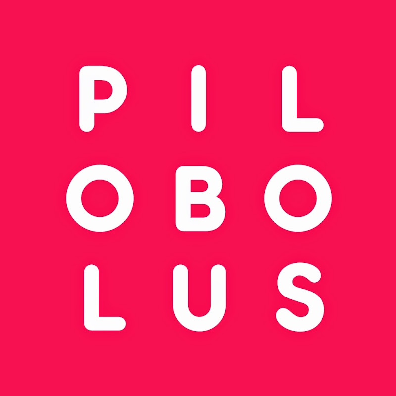 PILOBOLUS