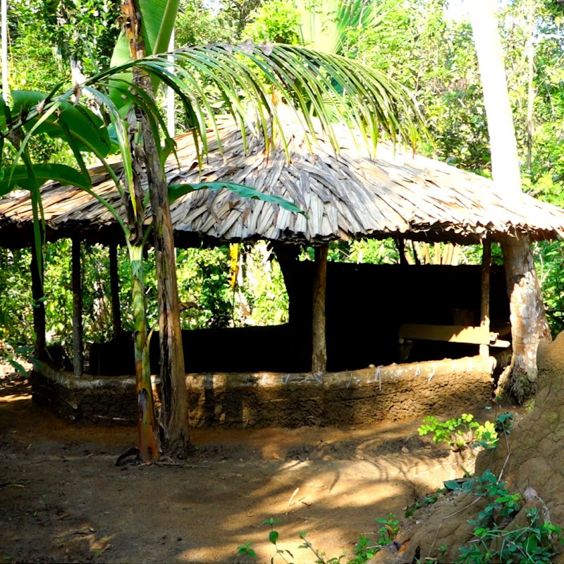 The Palm Hut icon