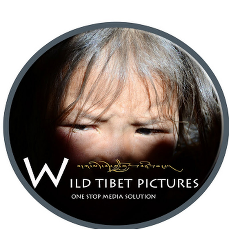 WILDTIBETPICTURE བདག་མེད་བོད་ཀྱི་གློག་བརྙན། icon