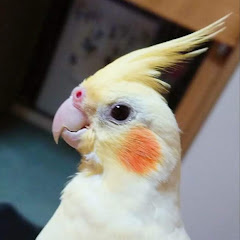 カピ子