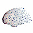 YAbl3fEoPMY-channel-avatar-UCLA Brain Mapping Center