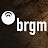 brgmTV
