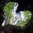 jINuX_Hort8-channel-avatar-ucchi ucchi