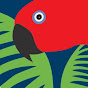 Rainforest Rescue logo