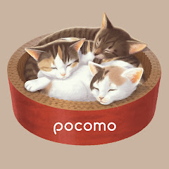 pocomo album