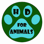HD for Animals