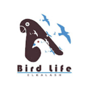 Bird Life - حياة الطيور