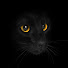 bDMrDcmsBDU-channel-avatar-Khartool