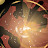 @larkeops's avatar