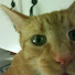 Wt3inur9bos-channel-avatar-shnooger